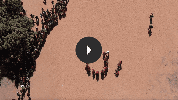 shop mozambique rubies